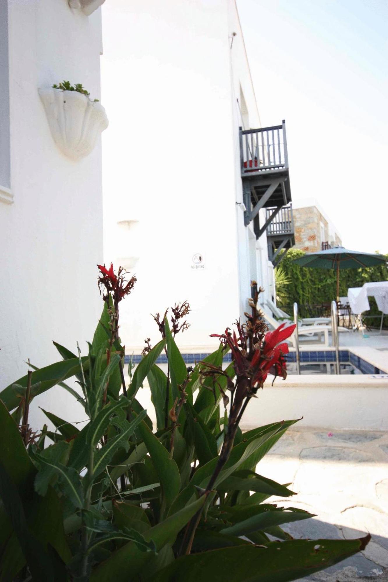 Emelce Apart Bodrum Exterior foto
